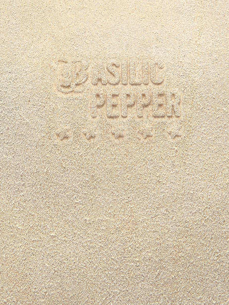 Sac Bandoulière Houston Cuir Basilic pepper Beige houston BHOU82 vue secondaire 5