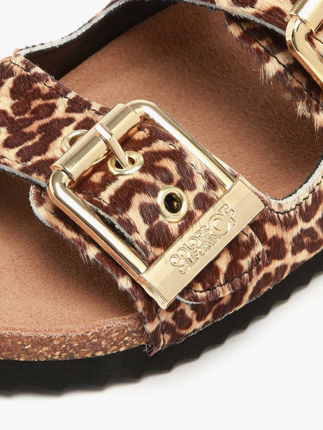 Sandales En Cuir Colors of california Marron women HCBIO502 vue secondaire 2